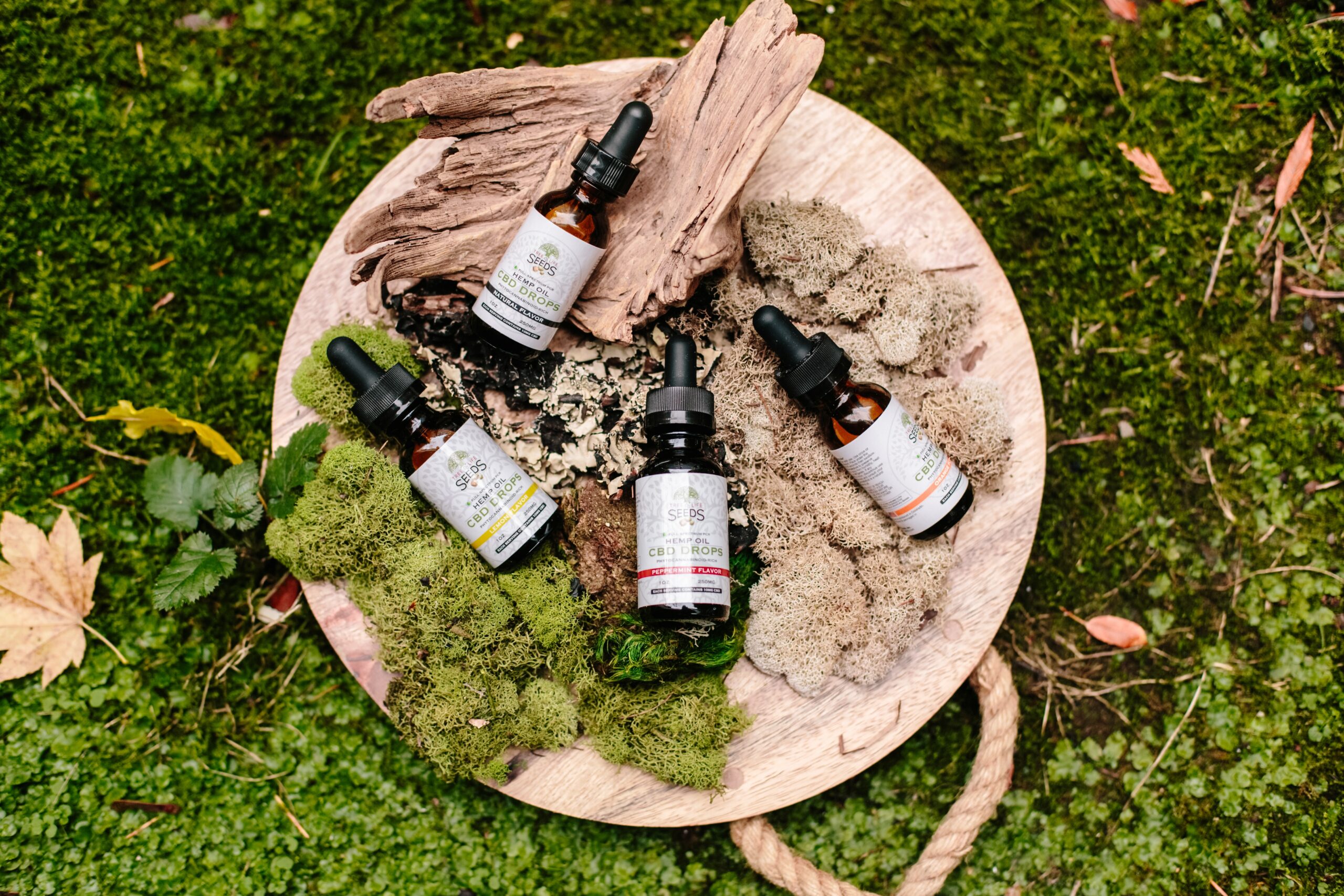 Cannabidiol et migraine 3 med douces 3 scaled